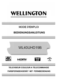 Notice Wellington WL40UHD19B Téléviseur