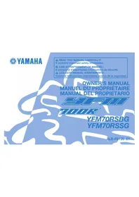 YAMAHA YFM700R (2016) - Quad
