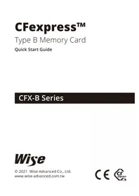 Notice Wise CFXB256 Carte mémoire