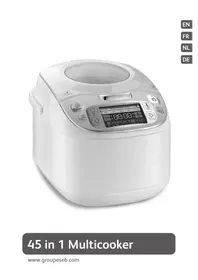 Fuzzy Logic RK812160 TEFAL