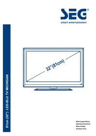 Notice SEG MICHIGAN Televisore