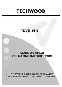 TECHWOOD TDVE19TN11 - TV
