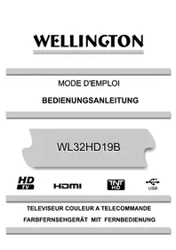 Notice Wellington WL32HD19B Téléviseur
