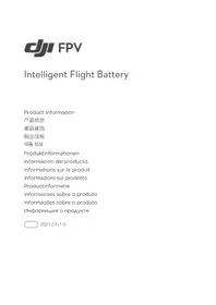 Notice DJI FPV INTELLIGENT FLIGHT BATTERY Bateria