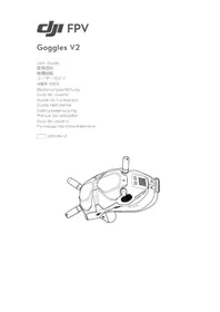 Notice DJI FPV GOGGLES ANTENNA 虚拟现实头盔