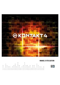 NATIVE INSTRUMENTS Kontakt 4 - Licence de logiciel &amp; extension