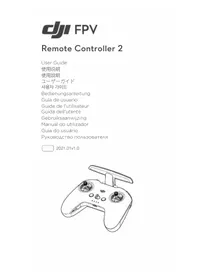 Notice DJI FPV REMOTE CONTROLLER 2 控制器