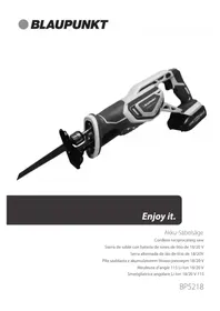 BLAUPUNKT BP5218 - Saw