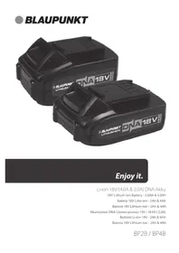 BP2B BLAUPUNKT