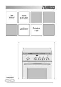 ZCG053GW1 ZANUSSI
