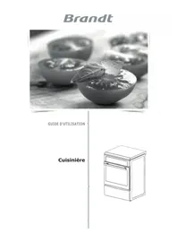 Notice BRANDT BCI6652W Appareil de cuisson