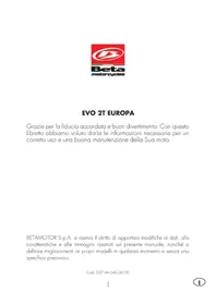 Evo 2T 300 (2019) Beta