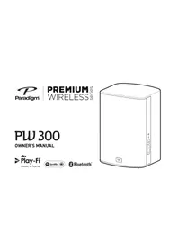 Paradigm PW 300 - Wireless Speaker