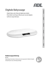 Notice ADE BE 1817 Balance