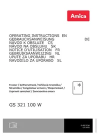 Notice AMICA GS 321 100 W Mraznička