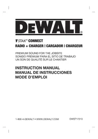 DEWALT TSTAK DWST17510 - Radio