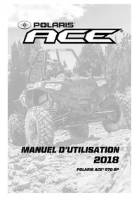 POLARIS Ace 570 SP (2018) - Quad