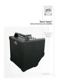 Notice PEAVEY NANO VYPYR ギター