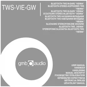 Notice GMB Audio TWSVIEGW Bouchon d'oreille