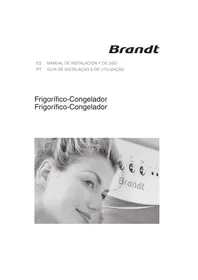 CE3321X BRANDT