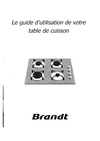 TG210WF1 BRANDT