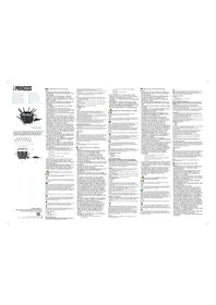 Notice PRINCESS FONDUE PREMIUM 173100 Appareil à fondue, raclette et wok