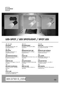 Notice Livarno Lux 14158402L Luminaire
