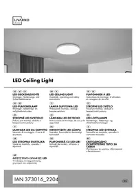 Notice Livarno Lux 14167506L Luminaire