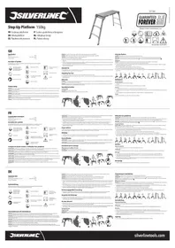 Notice SILVERLINE 537366 échelle