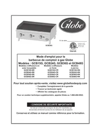 Notice Globe GCB24G Plaque de grill