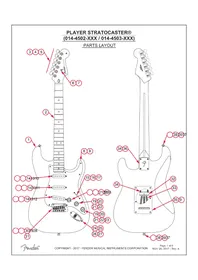 Notice FENDER PLAYER STRATOCASTER Guitare