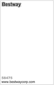 Notice BESTWAY FLOWCLEAR 58475 Pompe