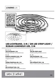 Notice Livarno Lux 14125106LE Luminaire