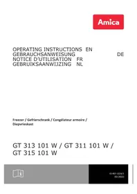 Notice AMICA GT 315 101 W Congélateur