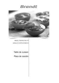 Notice BRANDT BPI6464B Cocina