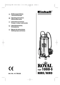 EINHELL Royal TMP 1000-S NIRO/NIRO - Oppervlaktepomp