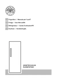 Notice BERTAZZONI RLD60F4FXNC Fridge