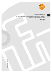 E30162 IFM