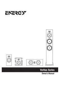 Notice Energy VERITAS V-MINI-C Speaker