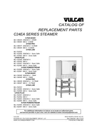 Notice Vulcan C24EA3-LWE Nettoyeur à vapeur