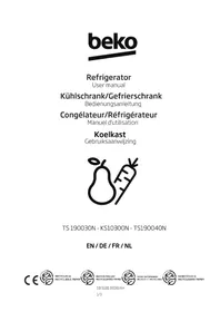 Notice BEKO TS190040N Frigorifer