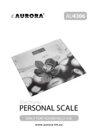 Notice AURORA AU 4306 Balance