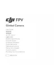 Notice DJI FPV GIMBAL CAMERA 无人机