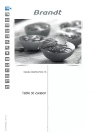Notice BRANDT BPI364DB Cooker