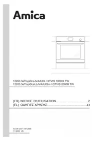 Notice AMICA QTVIS 2000B TW Four