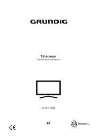 Notice GRUNDIG 40 GHF 6500 Télévision
