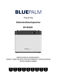 Notice BLUEPALM BP-B2500 Non catégorisé
