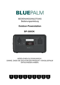 Notice BLUEPALM BP-300OK Batterie portable