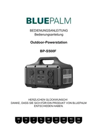 Notice BLUEPALM BP-S500F Batterie portable
