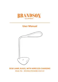 Notice Brandson 302465 Moniteur